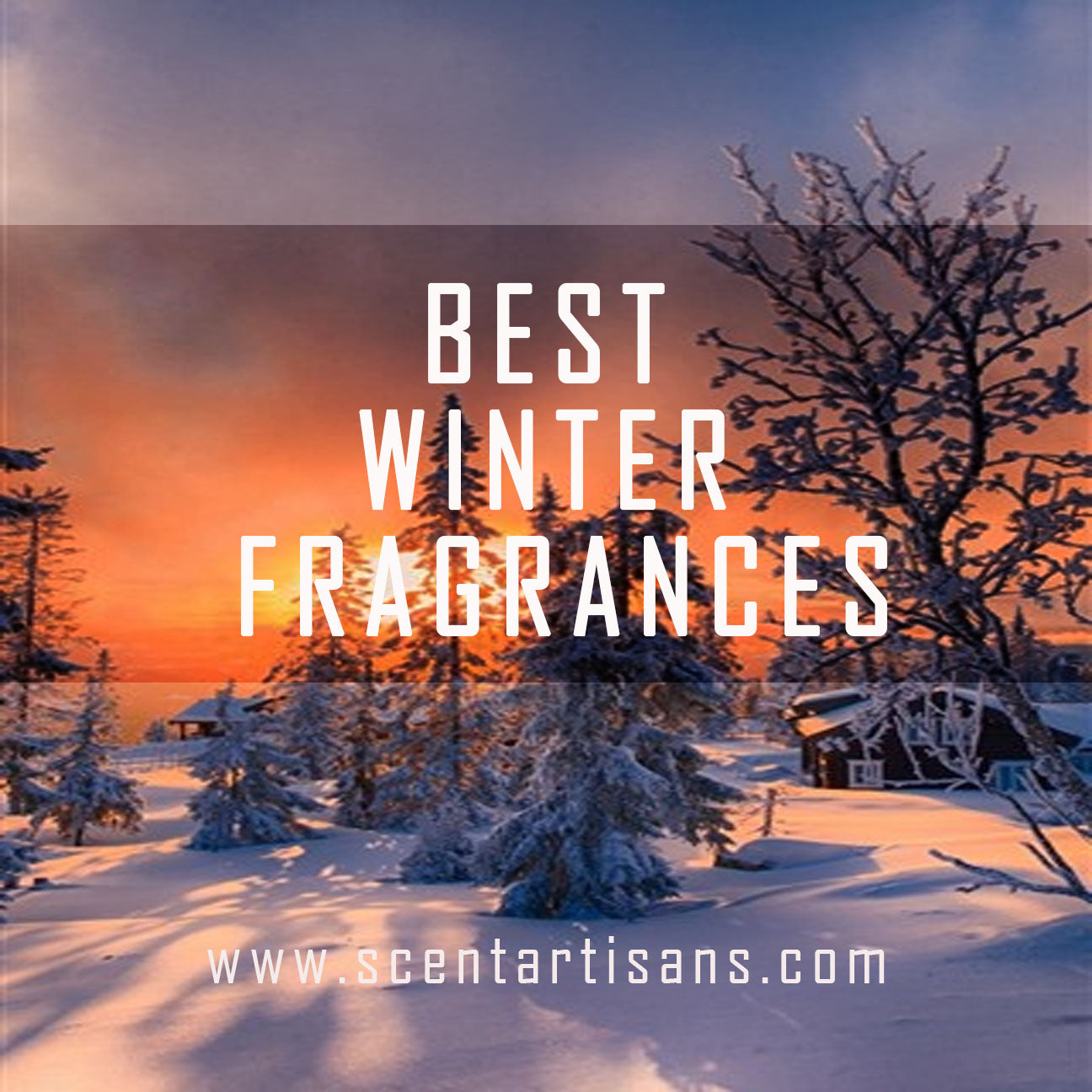 BEST WINTER PICKS FOR WOMEN AND MEN